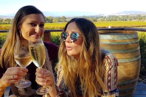 Alternative Yarra Valley Wine Tasting Tour Departing From Melbourne - Port Augusta Accommodation 5