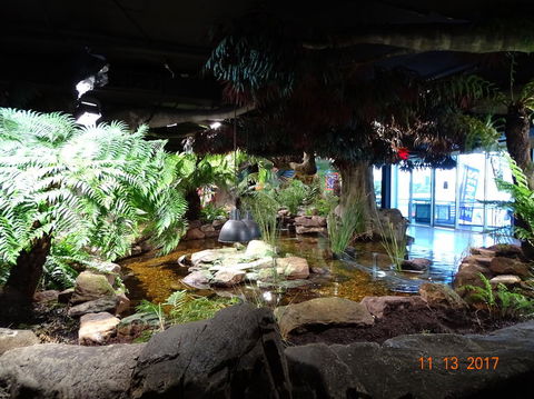 SEA LIFE Melbourne Aquarium Admission Ticket - Port Augusta Accommodation 2