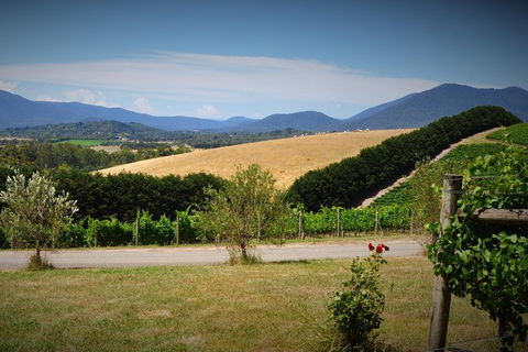 Romantic Private Yarra Valley Day Trip For Two From Melbourne - Port Augusta Accommodation 0