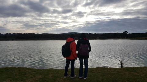 Small-Group Great Ocean Road And 12 Apostles Full-Day Tour From Melbourne - Port Augusta Accommodation 3