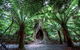 Small-Group Great Ocean Road And 12 Apostles Full-Day Tour From Melbourne - thumb 10