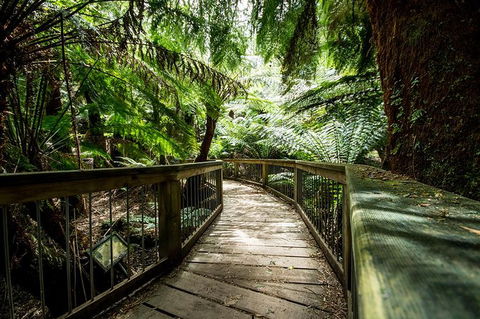 Small-Group Great Ocean Road Tour Experience With Eureka Skydeck Admission - Port Augusta Accommodation 5
