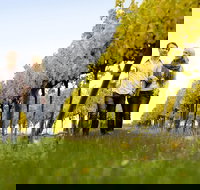 Overnight Daylesford and Macedon Ranges Gourmet Food Trail Tour from Melbourne - Port Augusta Accommodation