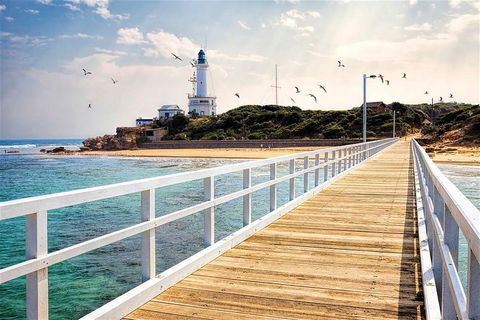 Around The Bay Sightseeing And Bay Cruise - Port Augusta Accommodation 9