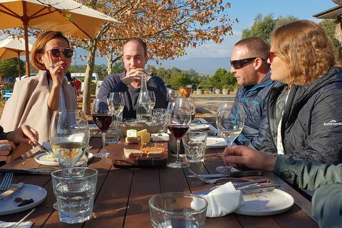 An Amazing Day With Felix - Premium Yarra Valley Wine Tour - Port Augusta Accommodation 0