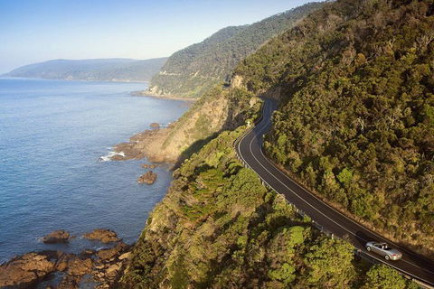 Ultimate Reverse Direction - 12 Apostles, Great Ocean Road - Small Group Tour - Port Augusta Accommodation 10