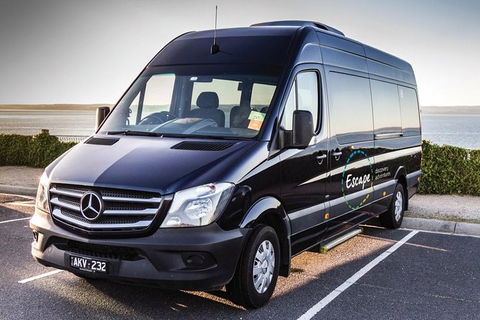 Ultimate Reverse Direction - 12 Apostles, Great Ocean Road - Small Group Tour - Port Augusta Accommodation 4