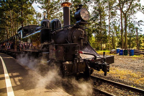 Half Day Puffing Billy Train Journey From Melbourne - Port Augusta Accommodation 6