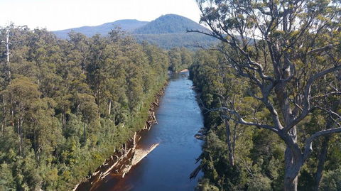 Small-group DayTour From Hobart: Hastings Caves, Huon Valley And Tahune AirWalk - Port Augusta Accommodation 3