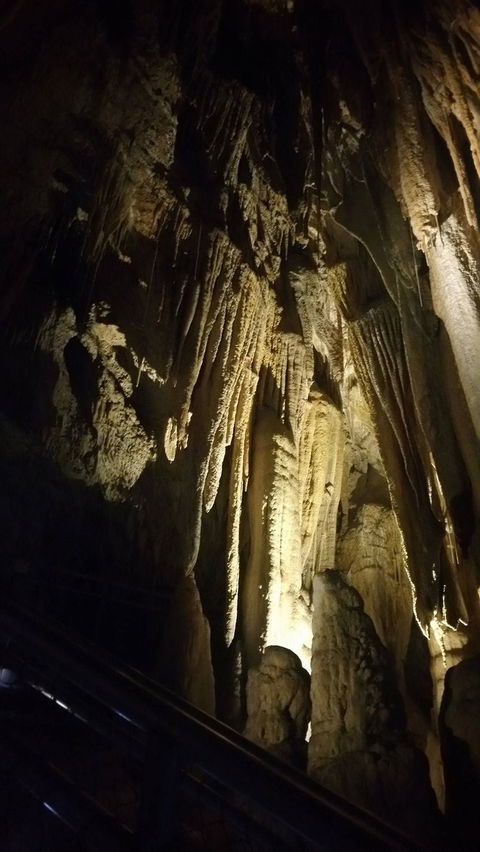 Small-group DayTour From Hobart: Hastings Caves, Huon Valley And Tahune AirWalk - Port Augusta Accommodation 5
