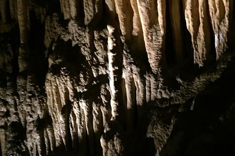 Small-group DayTour From Hobart: Hastings Caves, Huon Valley And Tahune AirWalk - Port Augusta Accommodation 1