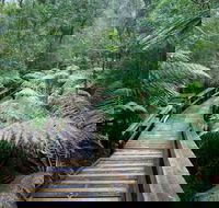 Small-group DayTour from Hobart Hastings Caves Huon Valley and Tahune AirWalk - Port Augusta Accommodation