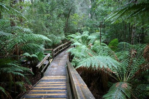 Small-group DayTour From Hobart: Hastings Caves, Huon Valley And Tahune AirWalk - Port Augusta Accommodation 0