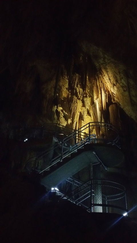 Small-group DayTour From Hobart: Hastings Caves, Huon Valley And Tahune AirWalk - Port Augusta Accommodation 4