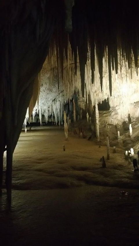 Small-group DayTour From Hobart: Hastings Caves, Huon Valley And Tahune AirWalk - Port Augusta Accommodation 8
