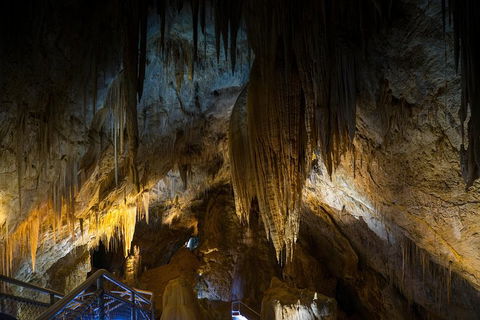Small-group DayTour From Hobart: Hastings Caves, Huon Valley And Tahune AirWalk - Port Augusta Accommodation 19