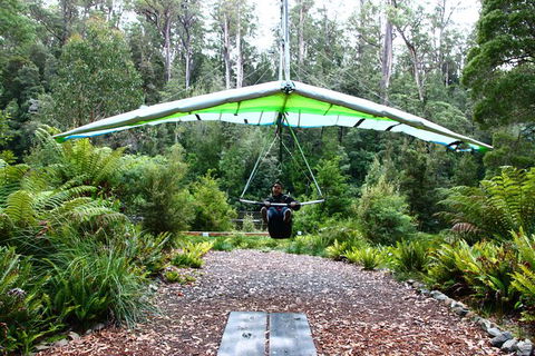 Small-group DayTour From Hobart: Hastings Caves, Huon Valley And Tahune AirWalk - Port Augusta Accommodation 10