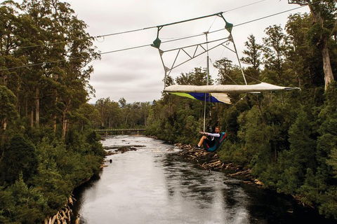 Small-group DayTour From Hobart: Hastings Caves, Huon Valley And Tahune AirWalk - Port Augusta Accommodation 14