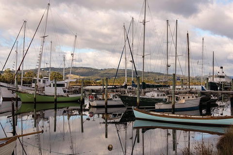 Small-group DayTour From Hobart: Hastings Caves, Huon Valley And Tahune AirWalk - Port Augusta Accommodation 13