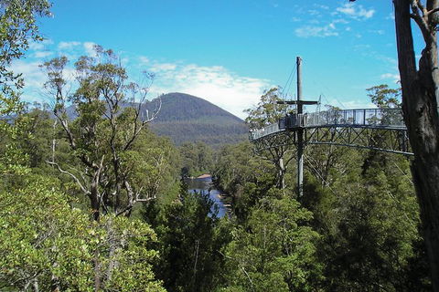Small-group DayTour From Hobart: Hastings Caves, Huon Valley And Tahune AirWalk - Port Augusta Accommodation 9