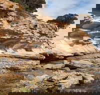 Maria Island premium private photo-oriented day tour from Hobart - Port Augusta Accommodation