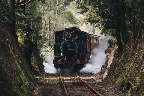 West Coast Wilderness Railway: River And Rainforest From Strahan - Port Augusta Accommodation 0