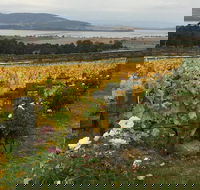 Mona and Wine Experience Tour - Port Augusta Accommodation