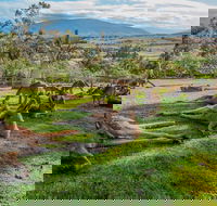Shore Excursion Hobart's Best In Half A Day - Port Augusta Accommodation