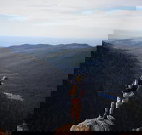 Mount Field National Park - Tarn Shelf  Russell Falls - Guided Hiking Tour - Port Augusta Accommodation