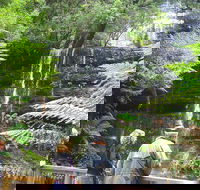 Mt Field National Park and Russell Falls from Hobart - Port Augusta Accommodation