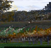 Barossa Valley with Hahndorf Tour from Adelaide - Port Augusta Accommodation