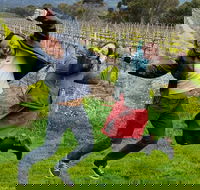 Mclaren Vale Luxury Full Day Small Group Wine Tour - Port Augusta Accommodation