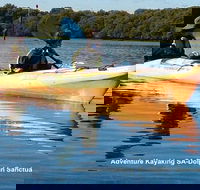 Adelaide Dolphin Sanctuary and Ships Graveyard Kayak Tour - Port Augusta Accommodation