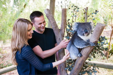 Adelaide Central Market With Cleland Wildlife Park And Mount Lofty Summit - Port Augusta Accommodation 1