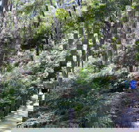 Self-Guided Waterfall Gully to Mount Lofty Hike from Adelaide - Port Augusta Accommodation