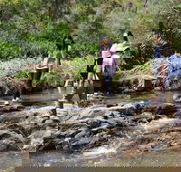 Small Group Bush Walk  BBQ with Wine Day Trip from Adelaide - Port Augusta Accommodation