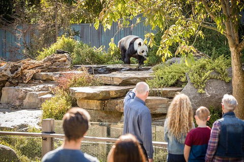 Adelaide Zoo Behind The Scenes Experience: Panda And Friends Tour - Port Augusta Accommodation 0