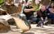 Adelaide Zoo Behind The Scenes Experience: Penguins In Person - thumb 1