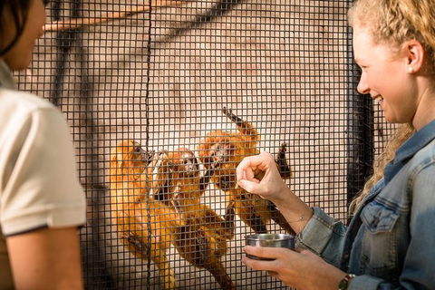 Adelaide Zoo Behind The Scenes Experience: Meet The Primates - Port Augusta Accommodation 0