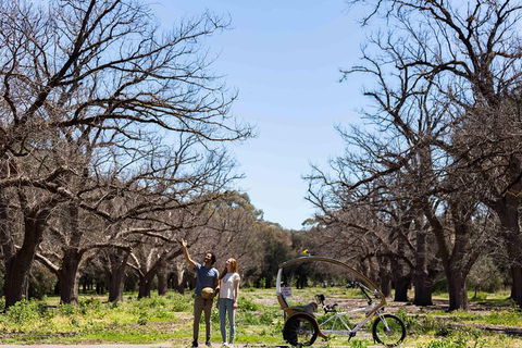 Adelaide 90-Minute Pedicab Tour: Scenic Green & River Experience - Port Augusta Accommodation 8