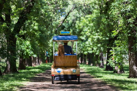 Adelaide 90-Minute Pedicab Tour: Scenic Green & River Experience - Port Augusta Accommodation 2