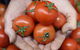 Adelaide Central Market & City EcoCaddy Tour - thumb 7