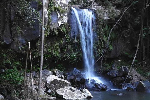 You Choose The Tour: Brisbane Private Chauffeur Driven Personal Tour - Port Augusta Accommodation 0