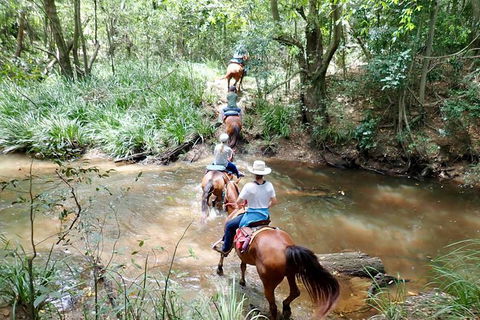 Country Day Ride From Mt Goomboorian With Rainbow Beach Horse Rides - Port Augusta Accommodation 1