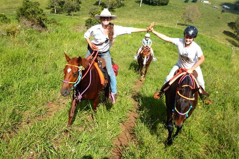 Country Day Ride From Mt Goomboorian With Rainbow Beach Horse Rides - Port Augusta Accommodation 0