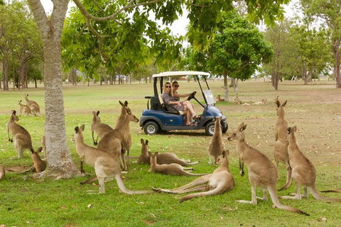 Small-Group Wildlife And Rainforest Tour From Port Douglas - Port Augusta Accommodation 0