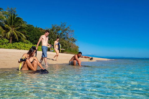 Half Day Low Isles Snorkelling Tour From Port Douglas - Port Augusta Accommodation 0