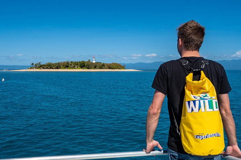 Half Day Low Isles Snorkelling Tour From Port Douglas - Port Augusta Accommodation 1