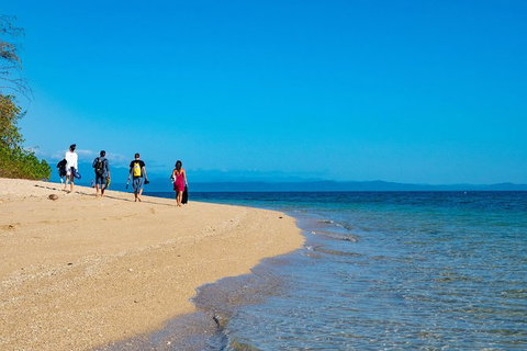 Half Day Low Isles Snorkelling Tour From Port Douglas - Port Augusta Accommodation 3