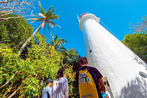 Half Day Low Isles Snorkelling Tour From Port Douglas - Port Augusta Accommodation 7